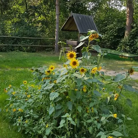 Agroturystyka Lisa Mlyn Najmowo Exterior photo