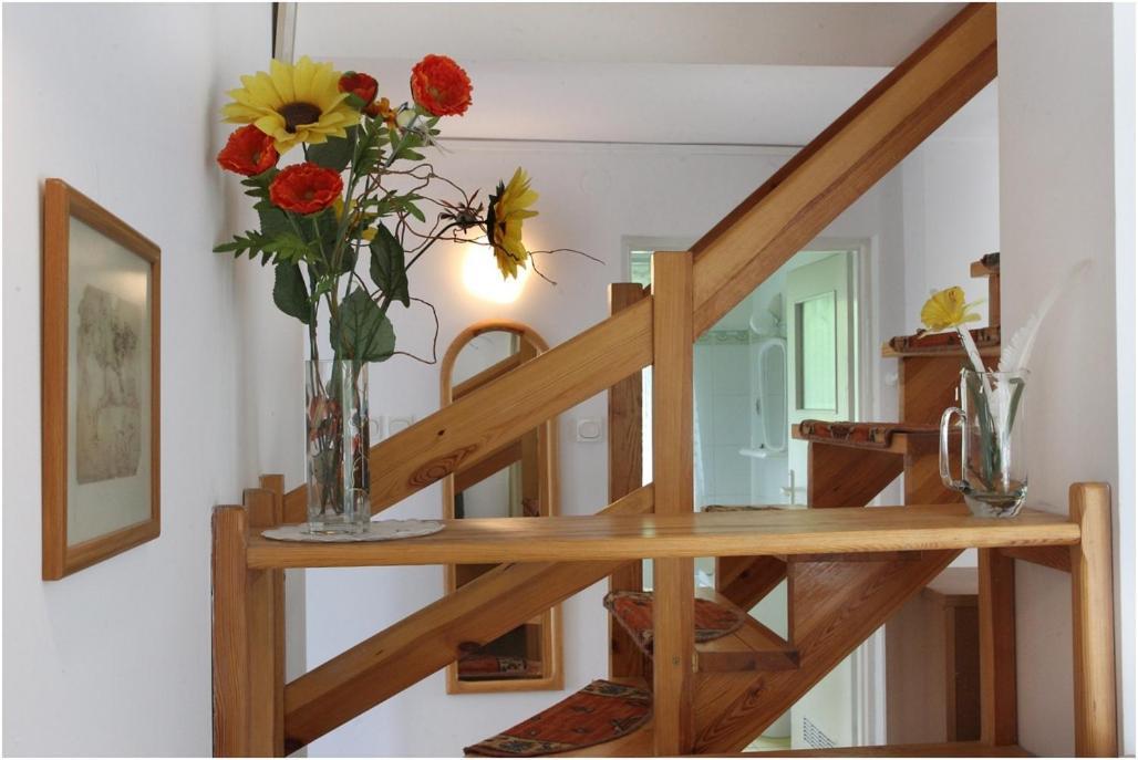 Lisa Mlyn Farm stay *