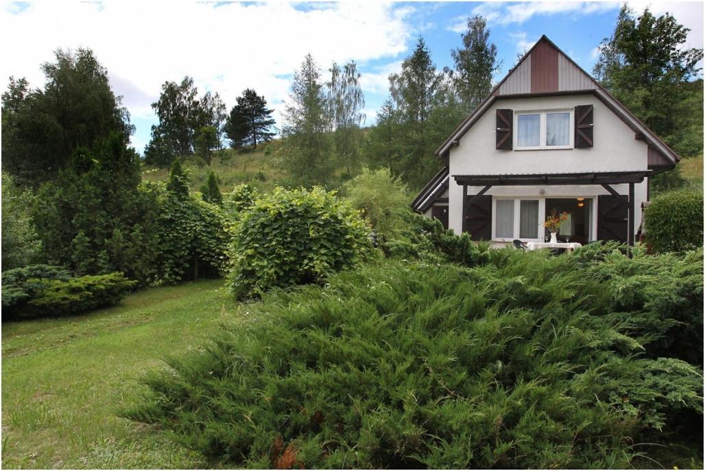 Lisa Mlyn Farm stay