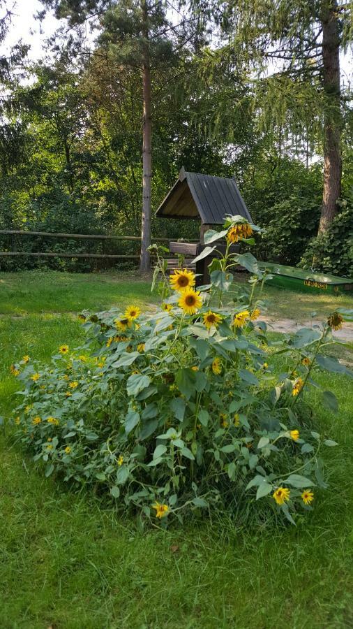 Lisa Mlyn Farm stay *
